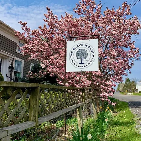 Black Walnut Bed And Breakfast